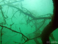 foto de buceo
