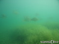 foto de buceo