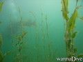 foto de buceo