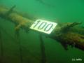 foto de buceo