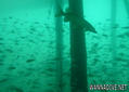 foto de buceo
