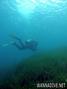 foto de buceo