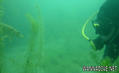 foto de buceo