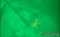 foto de buceo