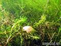 foto de buceo