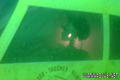 foto de buceo