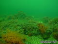 foto de buceo