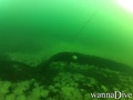 foto de buceo