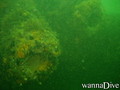 foto de buceo