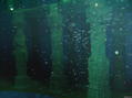 foto de buceo