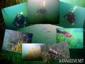 foto de buceo