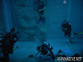 foto de buceo
