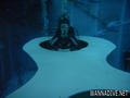foto de buceo