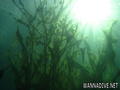 foto de buceo