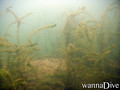 foto de buceo