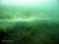 foto de buceo