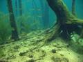 foto de buceo