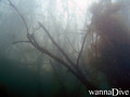 foto de buceo