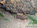 foto de buceo