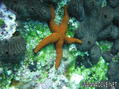 foto de buceo