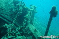 foto de buceo