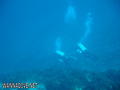 foto de buceo