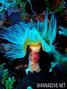 foto de buceo