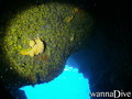 foto de buceo