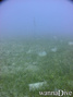 foto de buceo