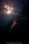 foto de buceo