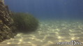 foto de buceo