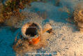 foto de buceo