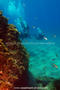 foto de buceo