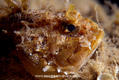 foto de buceo