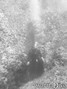 foto de buceo
