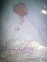 foto de buceo