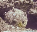 foto de buceo