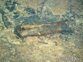 foto de buceo