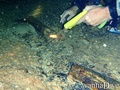 foto de buceo
