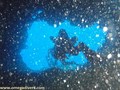 foto de buceo