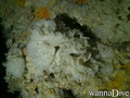 foto de buceo