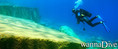 foto de buceo