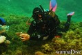 foto de buceo