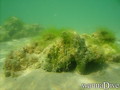 foto de buceo