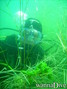 foto de buceo
