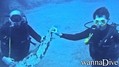 foto de buceo