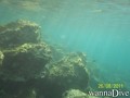 foto de buceo