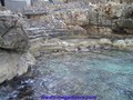 foto de buceo