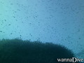 foto de buceo