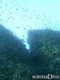 foto de buceo